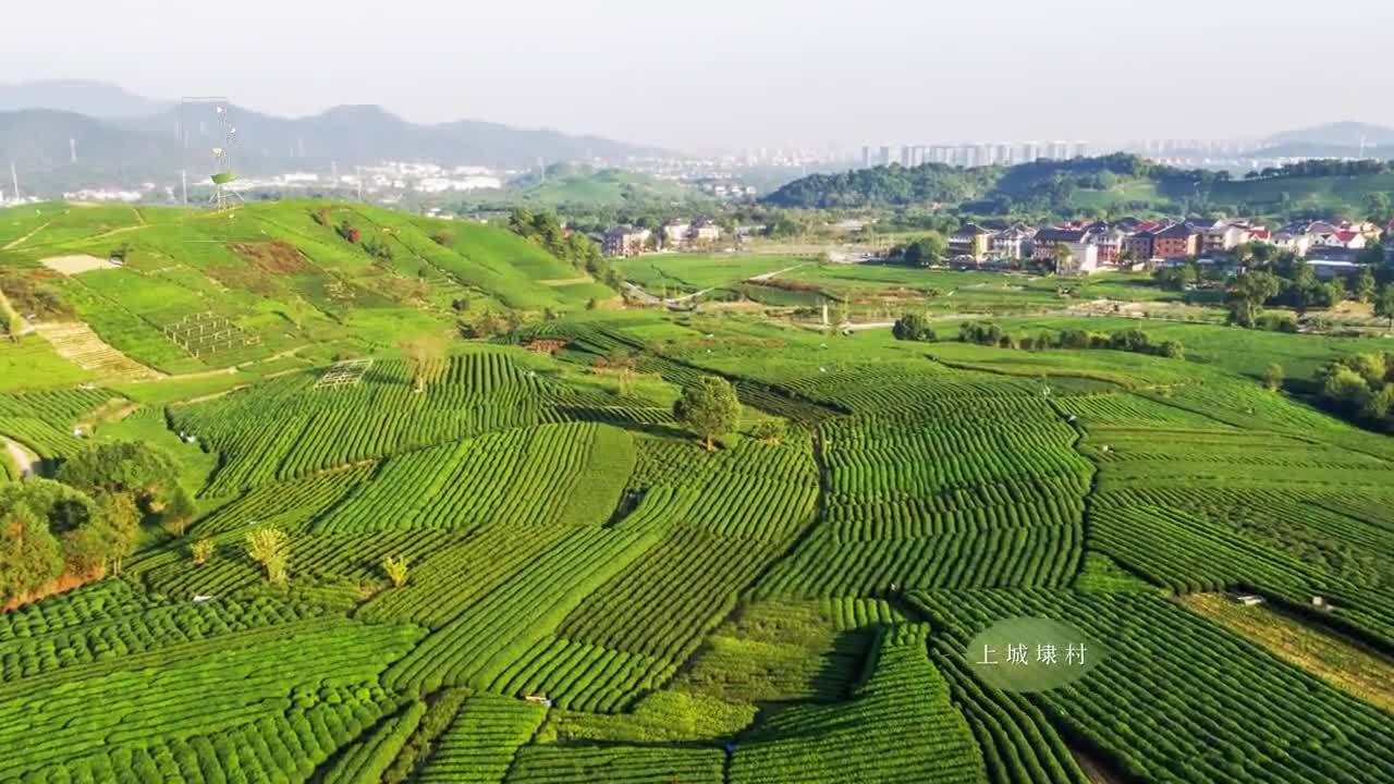 龍塢創(chuàng)意宣傳片《龍塢問茶詩》