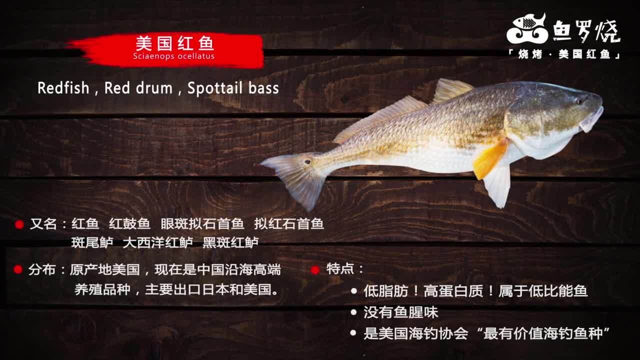 魚羅燒-美國紅魚-產(chǎn)品宣傳片