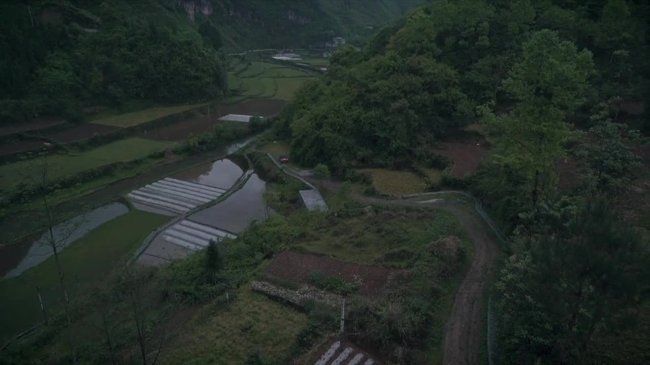 戶外野餐紀(jì)錄片《春雨中的蝦仔炒蛋》